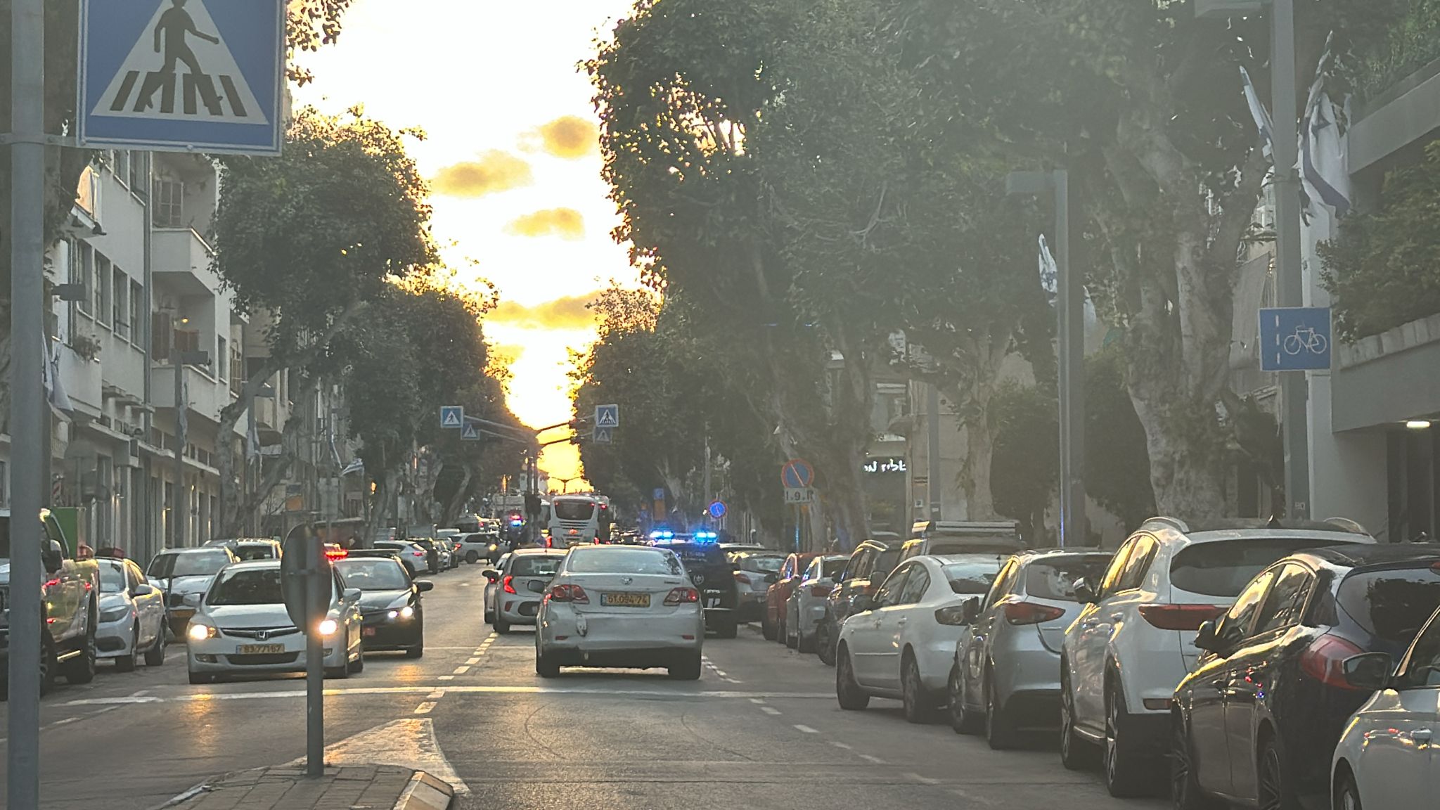 WhatsApp Image 2024-04-12 at 18.56.22.jpeg